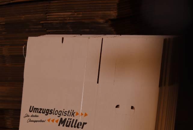 Günstiger Behördenumzug Penig