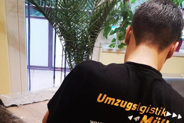 Laborumzug Penig stressfrei umziehen 