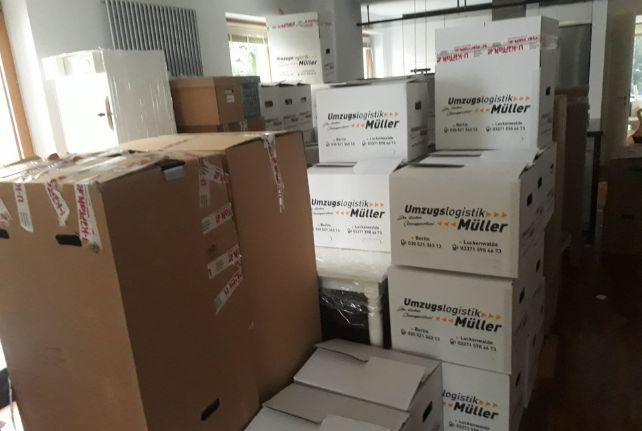 Labor Umzug preise erfahren in Penig